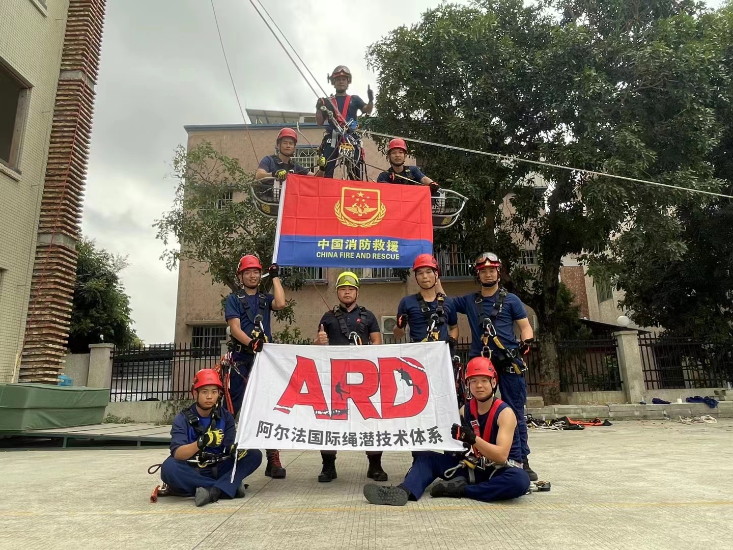 案例展示二
